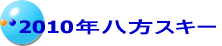 2010�N�����X�L�[
